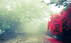 鹤山雨寒造纸有限公司